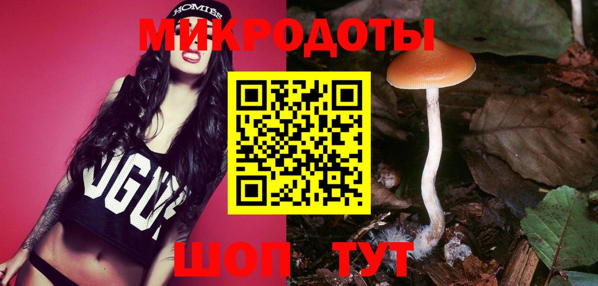 даркнет сайт  Псилоцибиновые грибы прущие грибы  Вход с VPN  Малоярославец 