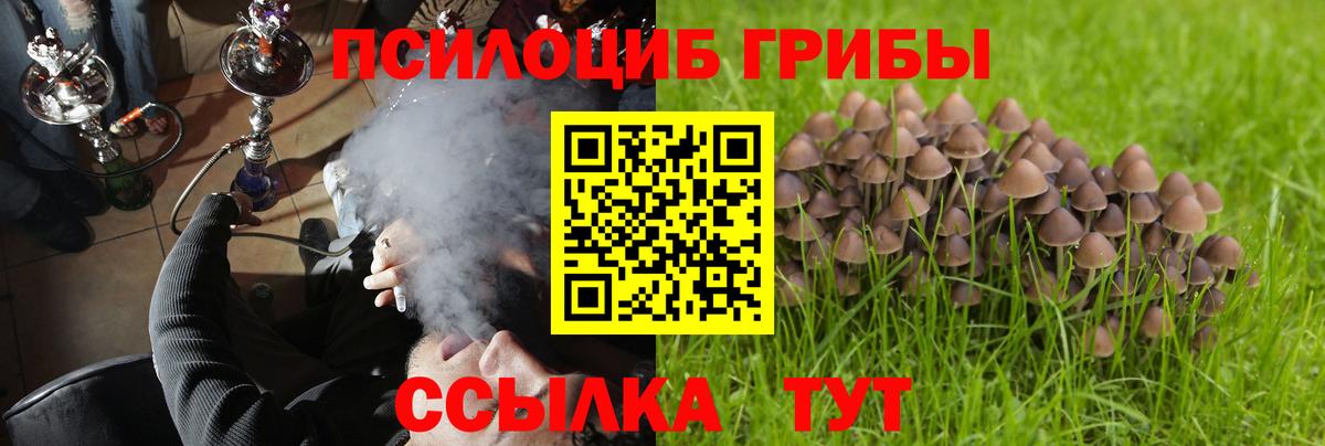 Псилоцибиновые грибы Psilocybine cubensis Малоярославец